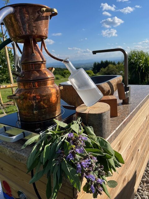 Pflanzen destillieren - Destille