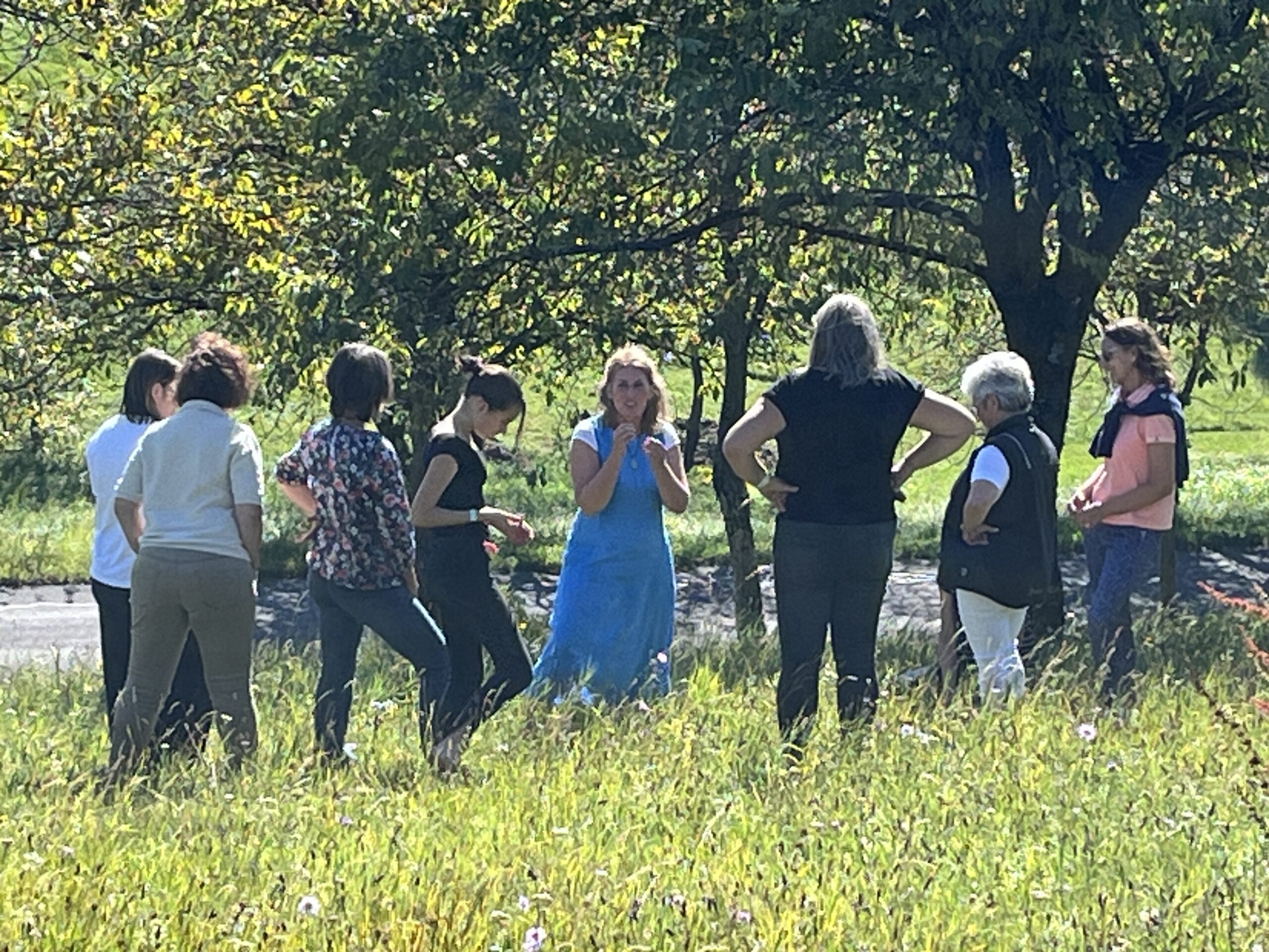 Frauenheilkräuter - Gruppenbild