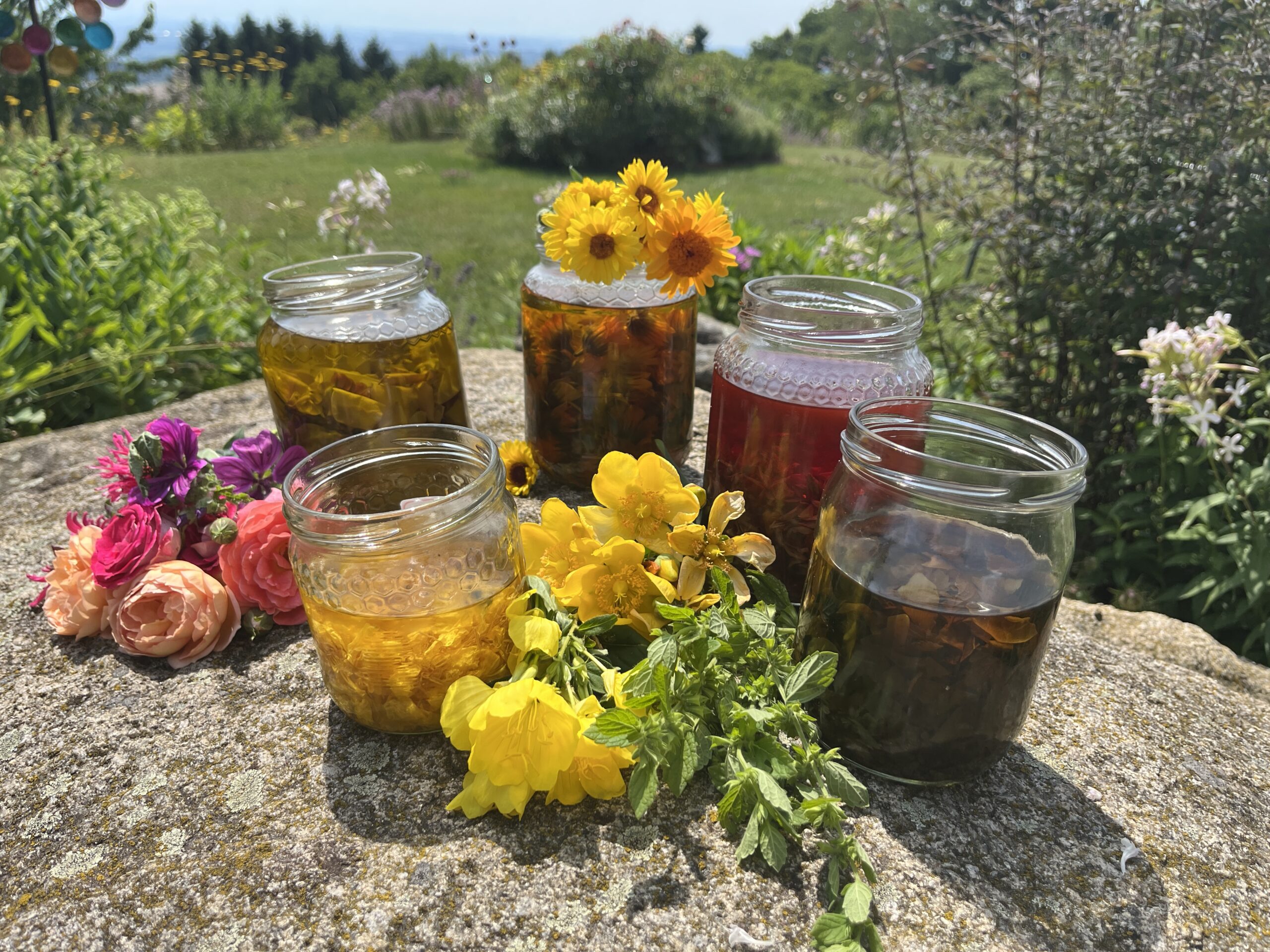 Kräuter erkunden - fertige Produkte