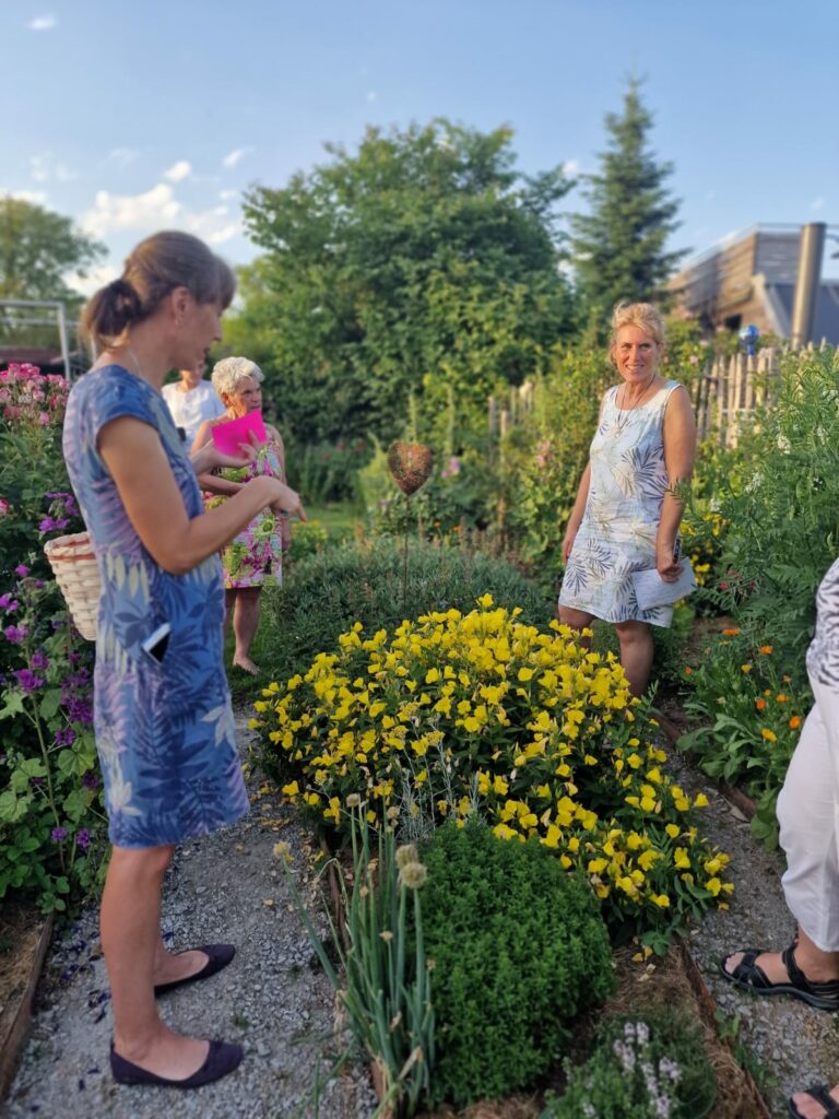 Kräuter erkunden - beim Kräuter sammeln